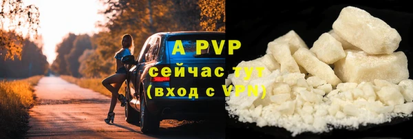 ПСИЛОЦИБИНОВЫЕ ГРИБЫ Горнозаводск