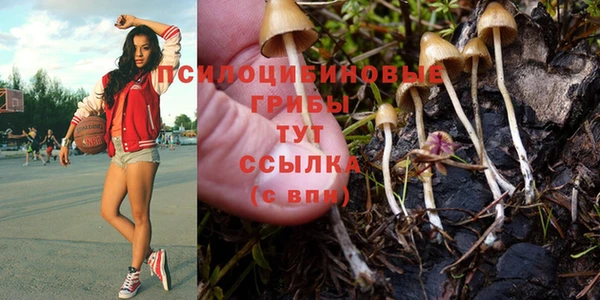 а пвп мука Вязники