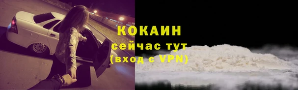 ПСИЛОЦИБИНОВЫЕ ГРИБЫ Горнозаводск