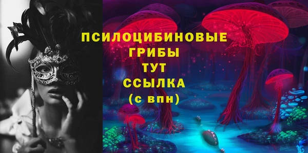 а пвп мука Гусиноозёрск